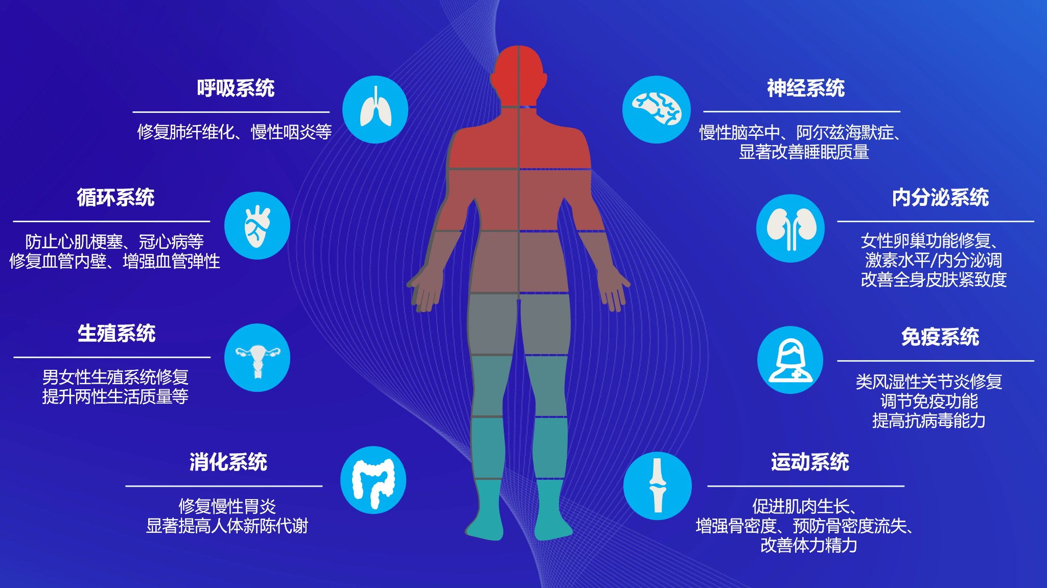 图片42.png